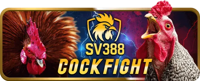 Liên hệ với live88 để được hỗ trợ về GDPR và quyền riêng tư